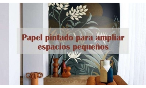 Imagen de noticia 4