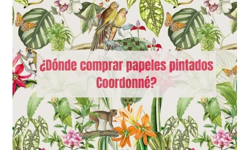 Imagen de noticia 1